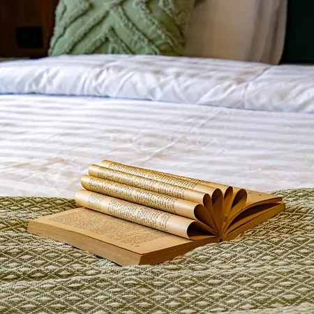 Downtown Athenaeum View